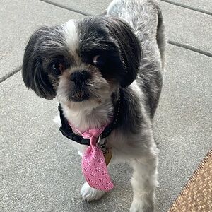 🎀🌼🎀BUNDLE AND SAVE🎀🌼🎀